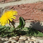 空気を読み過ぎて人間関係がつらいあなたへ ⑧一方的な損を解決するために(後編)