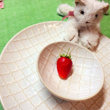 100均でオススメ★100均に見えない★オシャレな プレート★