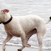 空気を読み過ぎて人間関係がつらいあなたへ ⑥一方的な損を解決するために(前編)