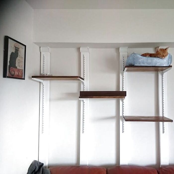猫が登りやすい位置に棚板を取り付け、完成です！