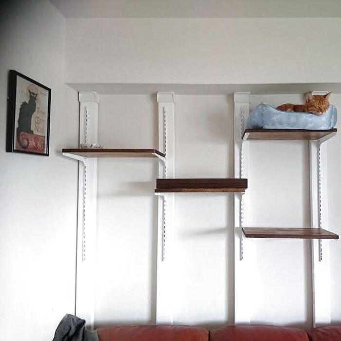 猫が登りやすい位置に棚板を取り付け、完成です!