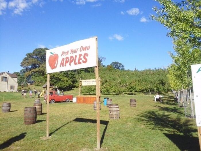 リンゴ狩り体験 2名分