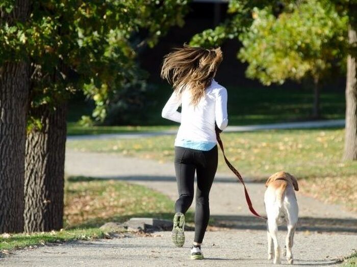 犬を飼った人の9割が、生活や価値観の変化を実感。対人関係や仕事にも好影響か!?