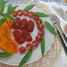 戸惑う&とまどう Tomate 達のさらだ!!