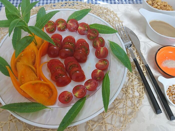 戸惑う&とまどう Tomate 達のさらだ!!