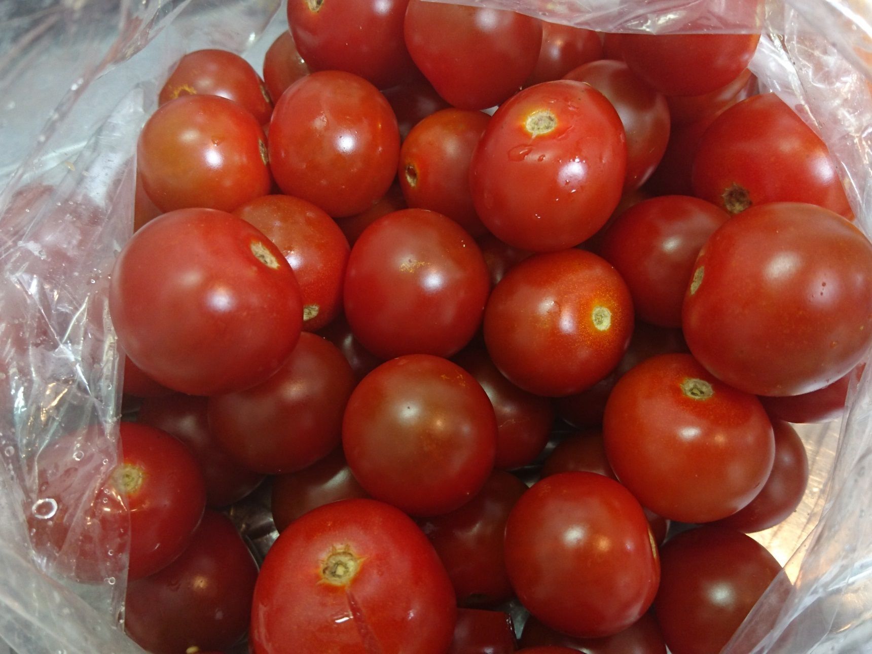 petite tomate