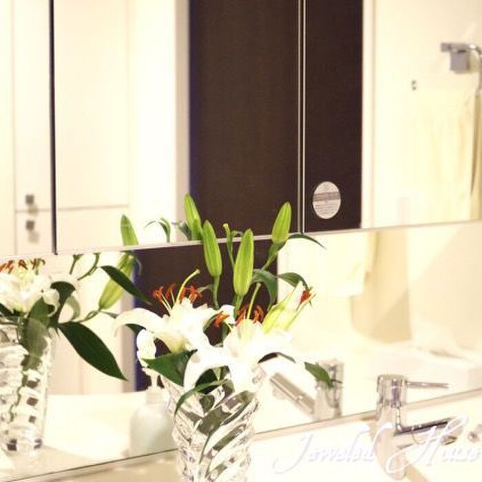 洗面所の薄いミラーキャビネットにすっきり!