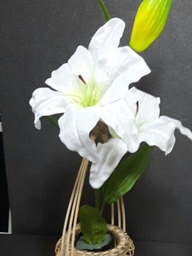 2、ユリの花を花瓶に飾る。