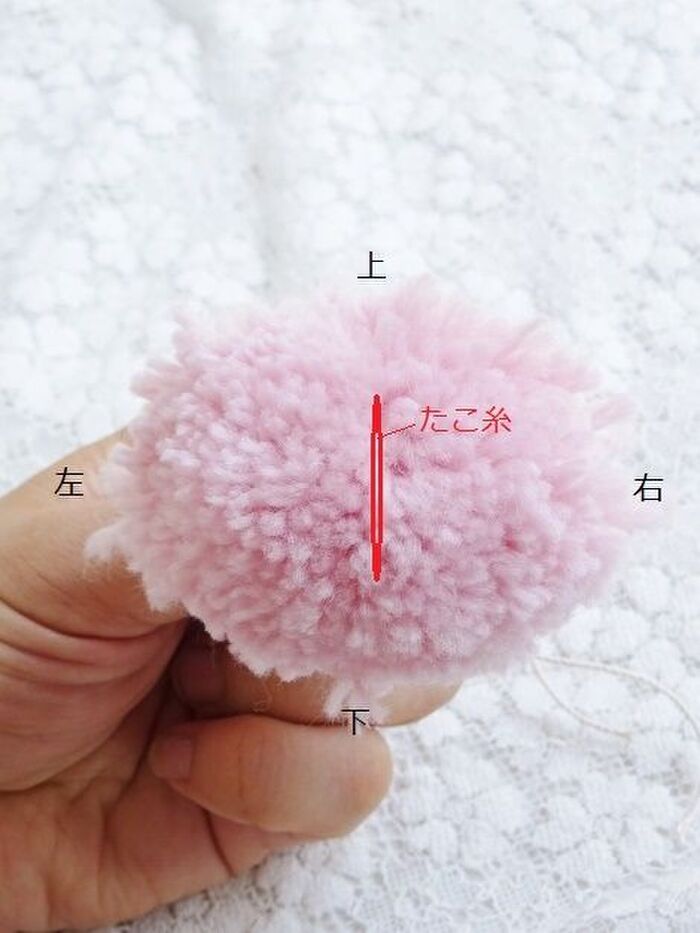 (取り外した直後)前から見たぽんぽん