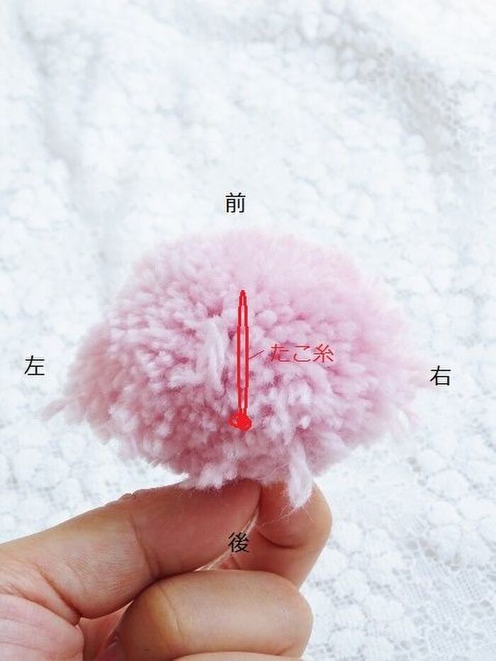 (取り出した直後)下からみたぽんぽん