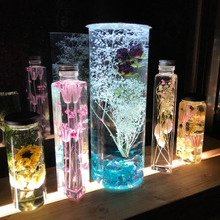 ダイソーのパスタケースで巨大ハーバリウム