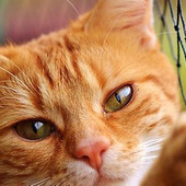 ~嫌いな人と上手く付き合う方法~ 第1回:嫌いな人から学ぶ