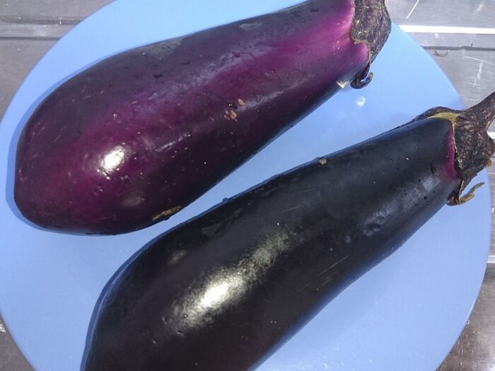 夏野菜その1