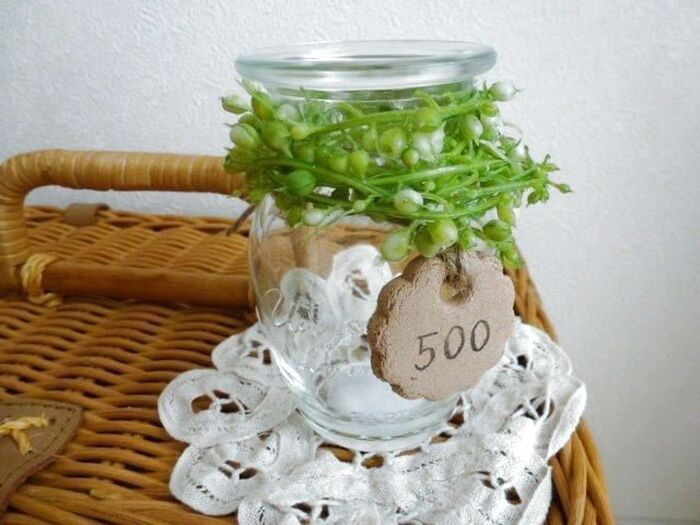 タグ風に瓶に飾っておしゃれに