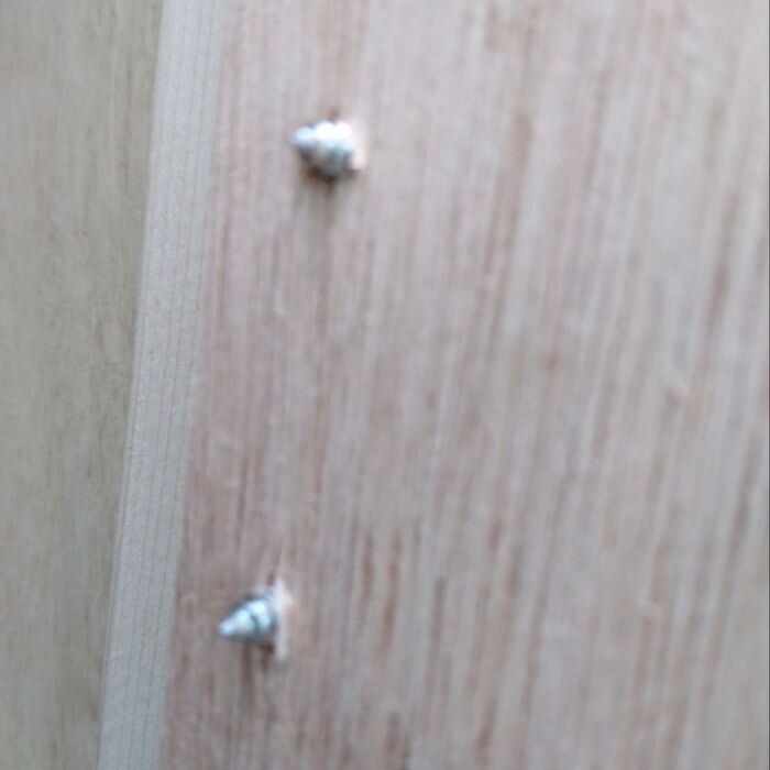 釘、ネジが長くて飛び出してしまったら