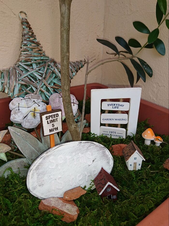 玄関にホッとする空間づくり♪ 植木鉢に小さなワールド♪