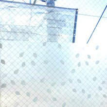 日差しと外からの視線をカット★ダイソー 窓ガラス目隠しシート