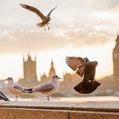 幸せ家族の方程式