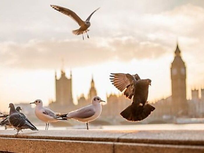 幸せ家族の方程式