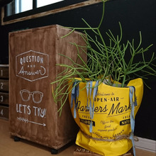 【100均リメイク】セリアの2wayトートバッグをプランターカバーにリメイク☆