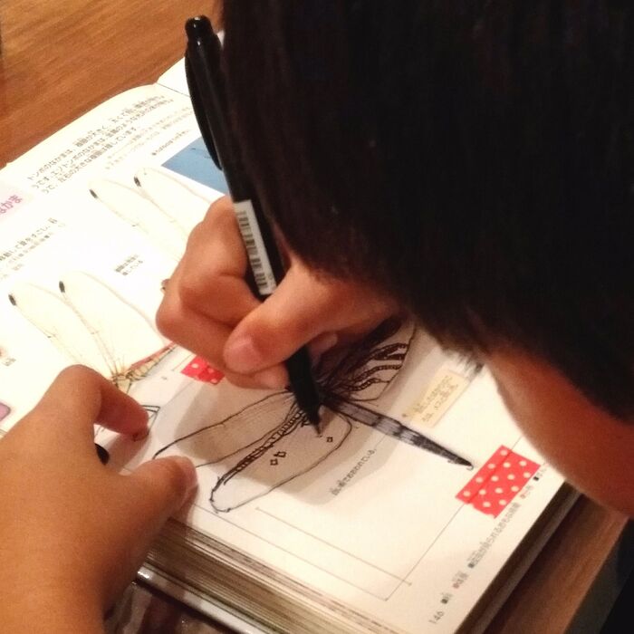 虫の写真を写す