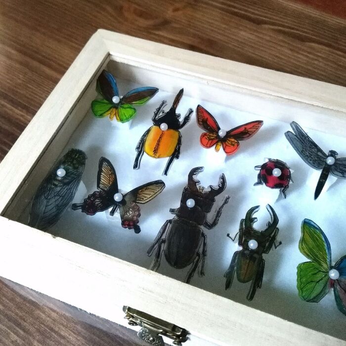 小3男子、michiカエルさんのプラ板昆虫標本に挑戦☆自由研究に!