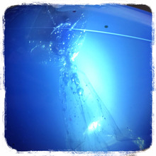 100均素材で作る☆本物みたいなクラゲボトル