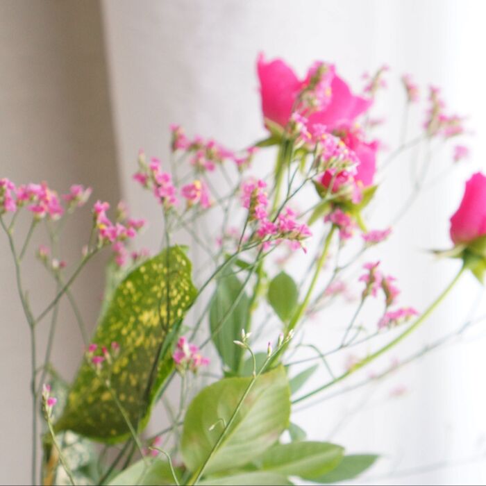 スーパーで見つけた見切り品のお花