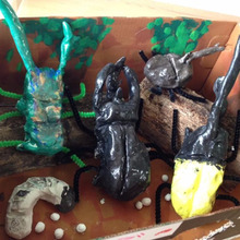 100均工作「紙粘土」「モール」「朽ち木」で昆虫ジオラマ