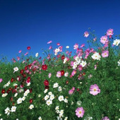 【9月の肌占い】お肌のタイプと血液型から占います!