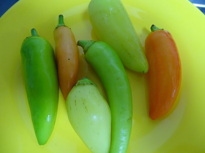 バナナピーマン達