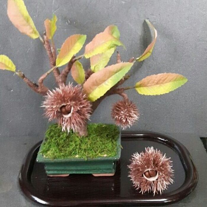 くりのミニ盆栽を100均の造花で作りました。