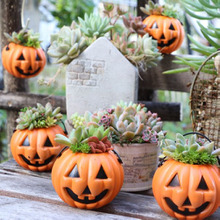 ダイソーでハロウィン!カラフル多肉の寄せ植え