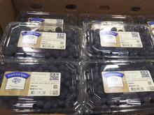 アンチエイジングにはコストコのブルーベリー!