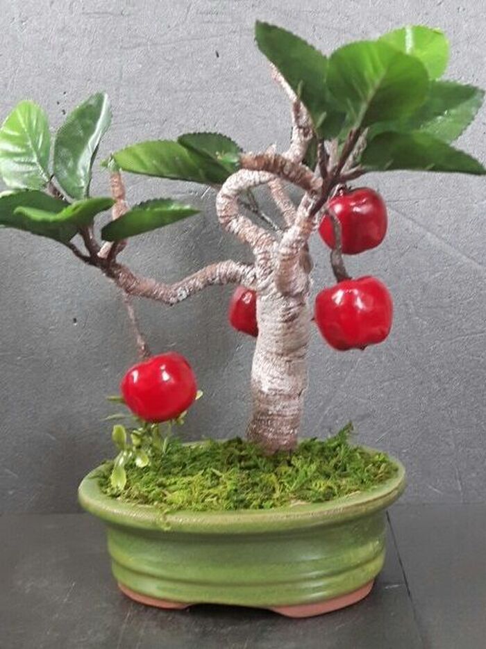 100均のアップルピックを使ってリンゴのミニ盆栽を作る。