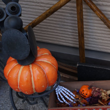 下に置くハロウィン飾りはこう作る×伸びきった枝でハロウィン飾り