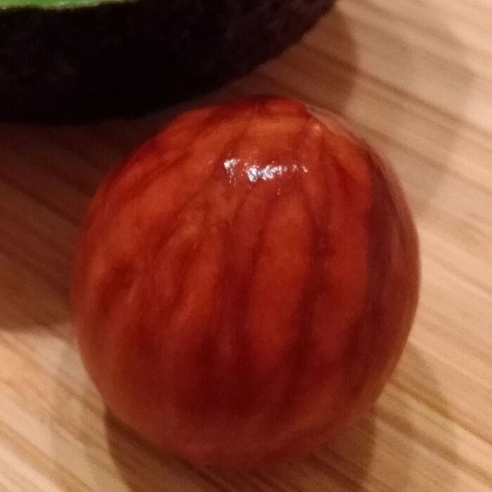 種の向き
