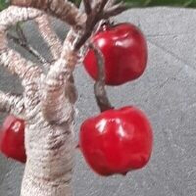 2、りんごの実を付ける。