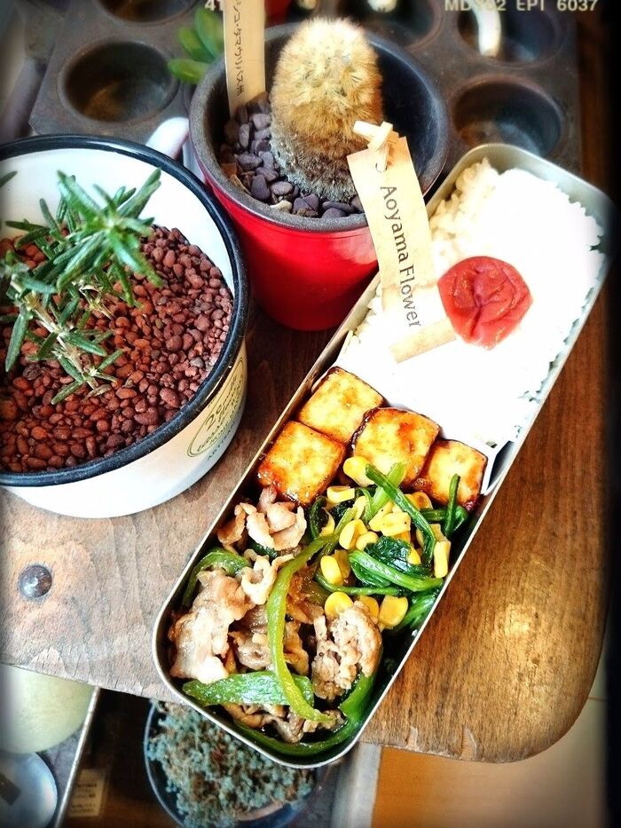 渋いけど味で勝負な男子弁当