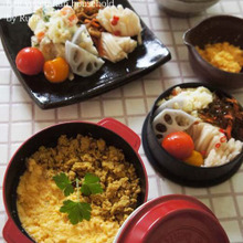 柔らか塩麹胸肉カレー&卵の2色そぼろ