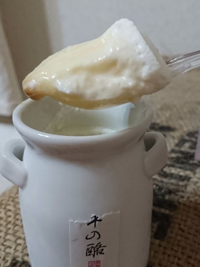 お土産のプリン