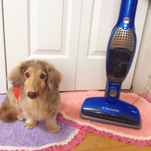 スタイリッシュで軽やか♪ 子供と選んだ掃除機「エルゴラピード」