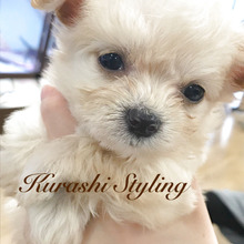 古くなったタオルやバスマットのゆくえ