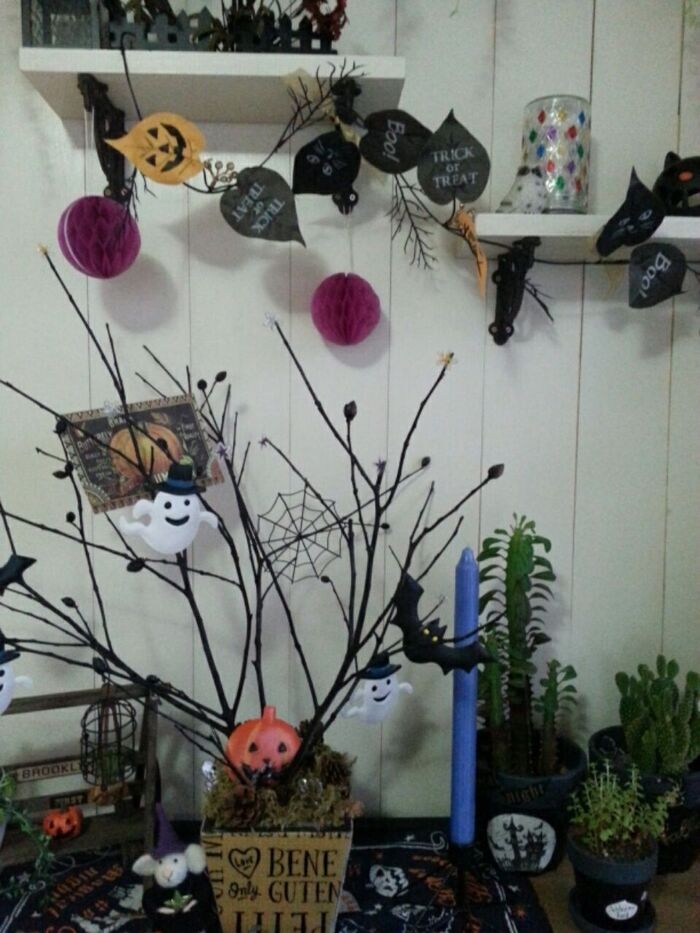 まずは去年のディスプレイを!