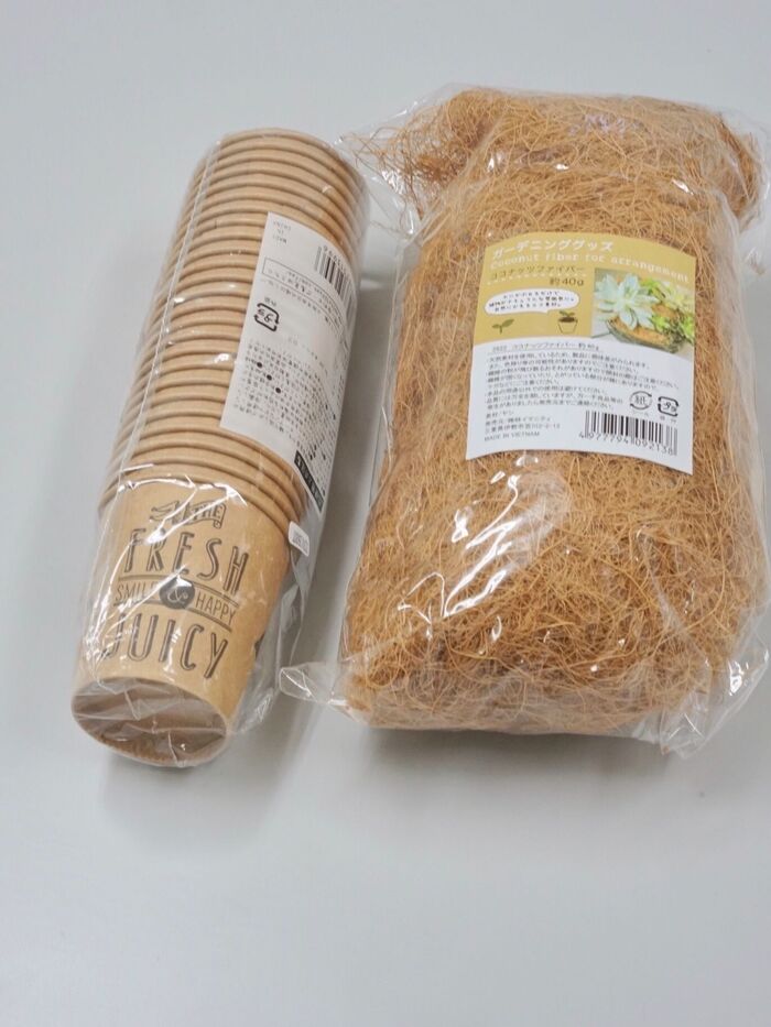 こちらが、植木鉢代わりに使用したもの