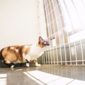 忘れがち……どれくらいの頻度でベランダ掃除している?方法とは