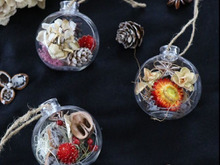 セリアのミニテラリウムで!Xmasオーナメント