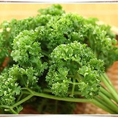 栄養価の高いパセリを美容と健康に役立てよう!