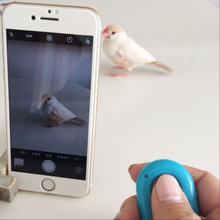 100均でここまで?離れていても撮影できるリモートシャッター