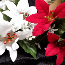 いよいよクリスマス?始まる!